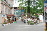 Базилик — 2